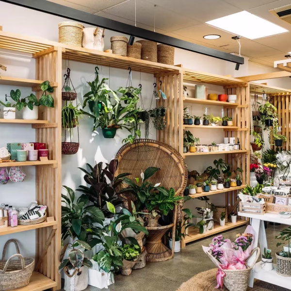 Wild River & Co