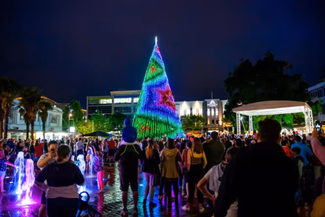 Joyful and triumphant – Tron tree tops the lot