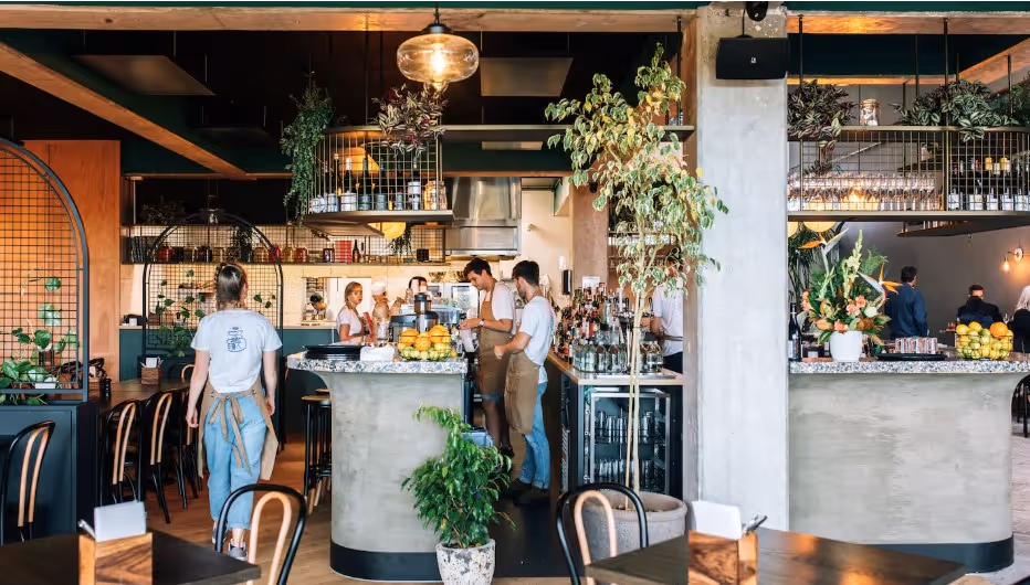 An Insider’s Guide to Kirikiriroa Hamilton