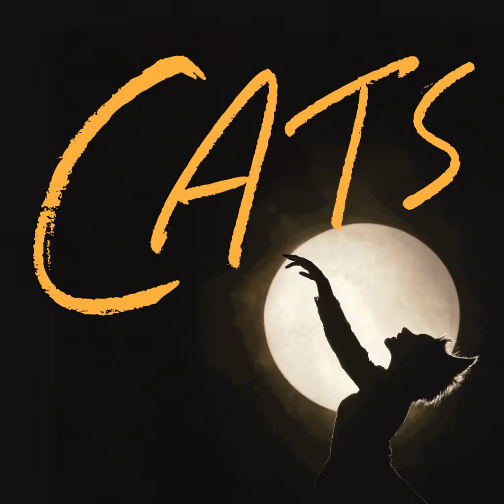 Cats The Musical