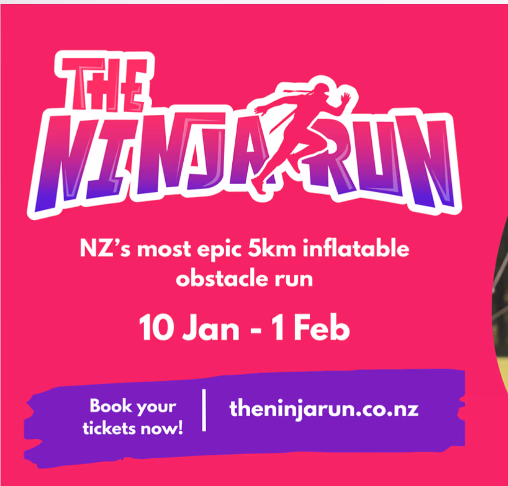 The Ninja Run