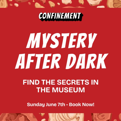 Mystery After Dark