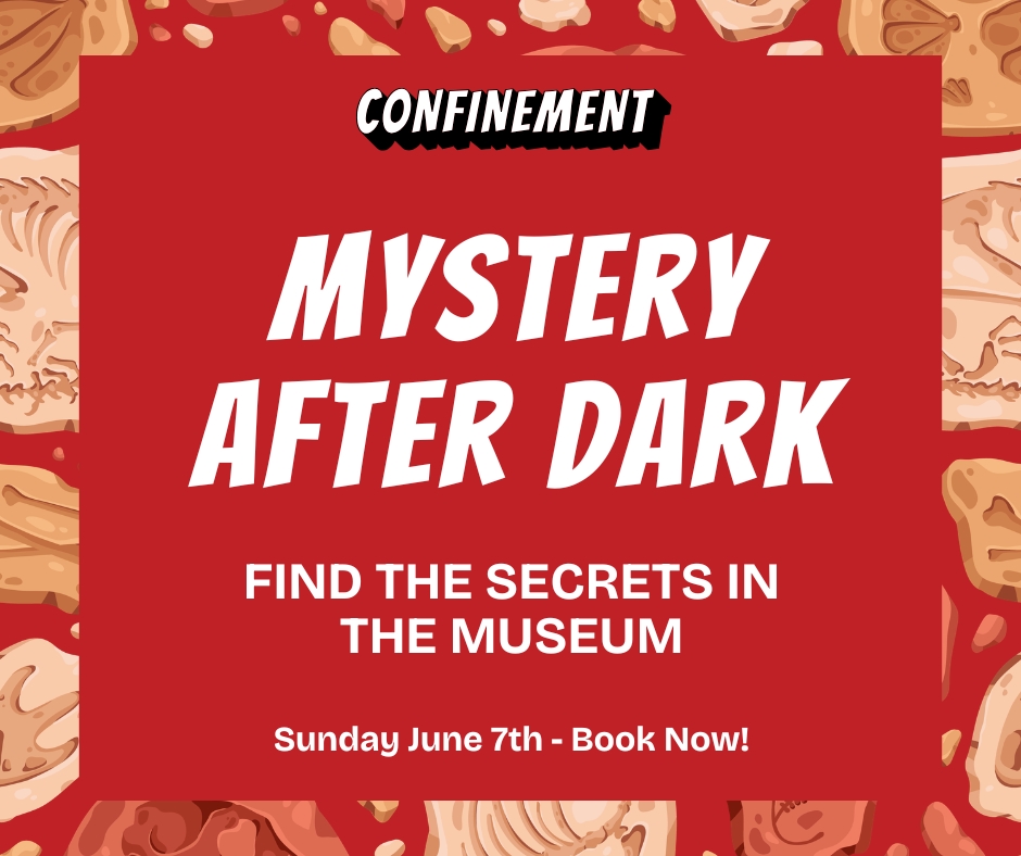 Mystery After Dark