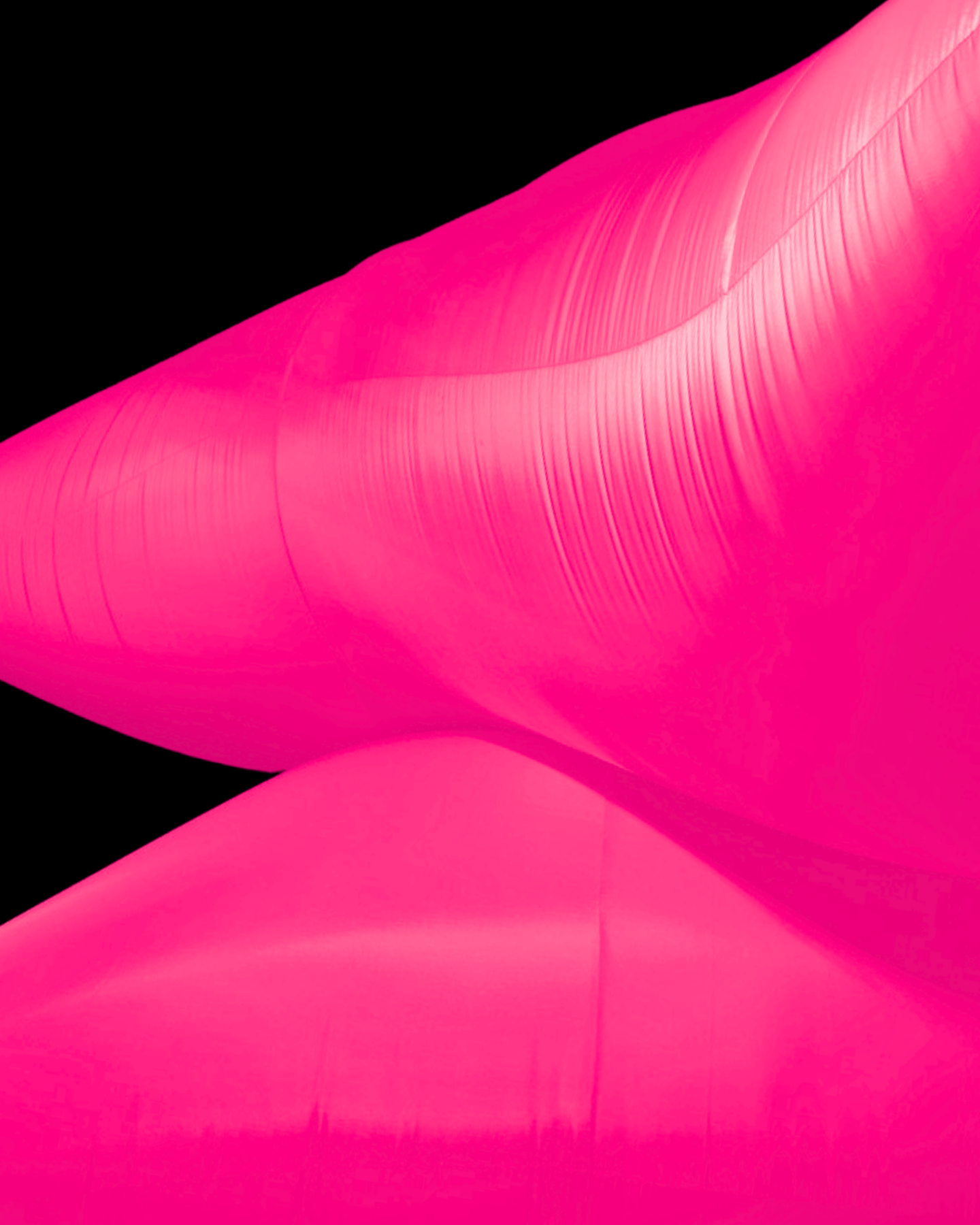 City of Wonder – Art + Design Week