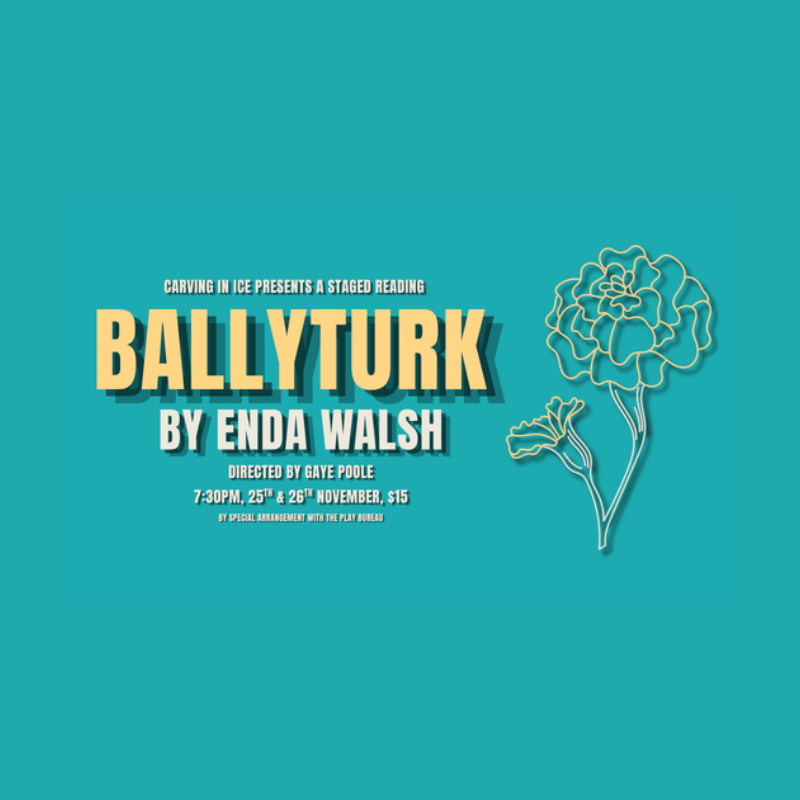 Ballyturk